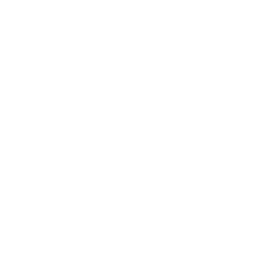 Icon-06-copy-1